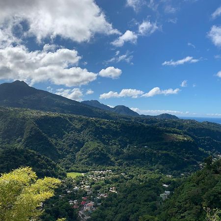 Le Petit Paradis Roseau Exteriör bild