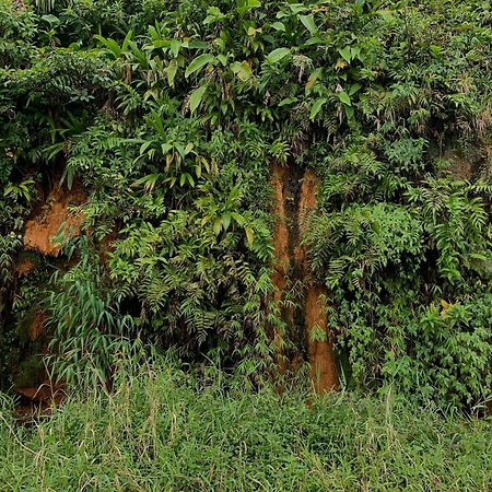 Le Petit Paradis Roseau Exteriör bild