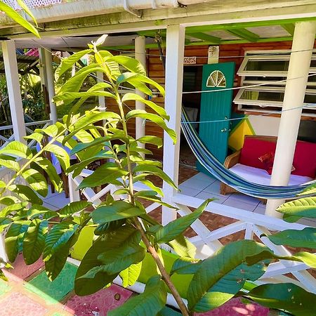 Le Petit Paradis Roseau Exteriör bild