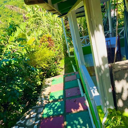 Le Petit Paradis Roseau Exteriör bild