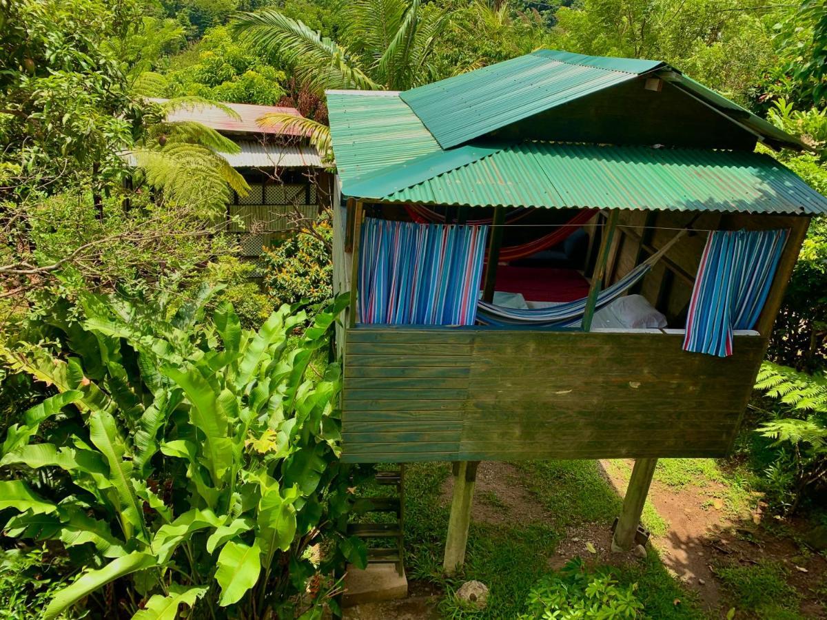 Le Petit Paradis Roseau Exteriör bild