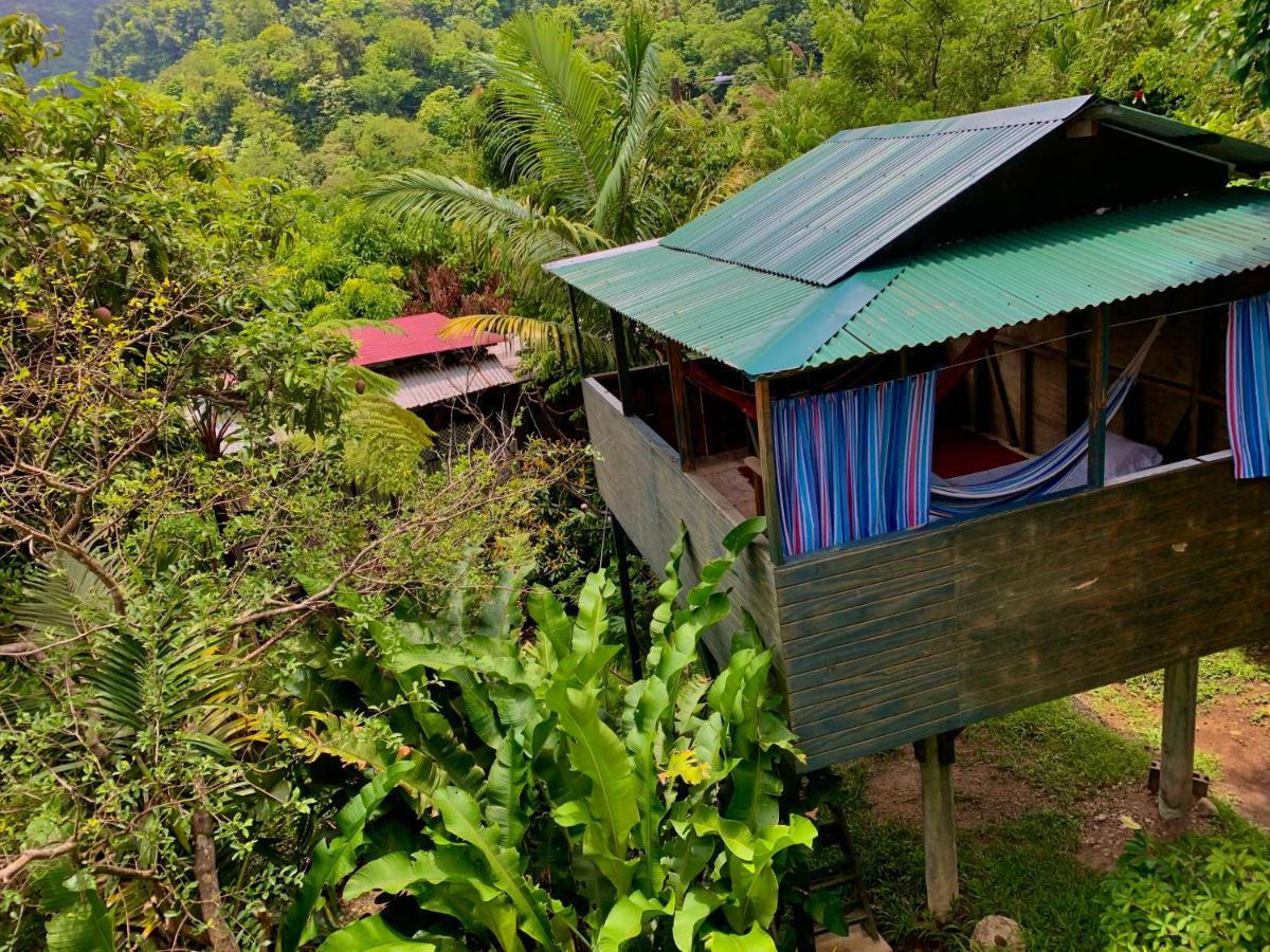 Le Petit Paradis Roseau Exteriör bild