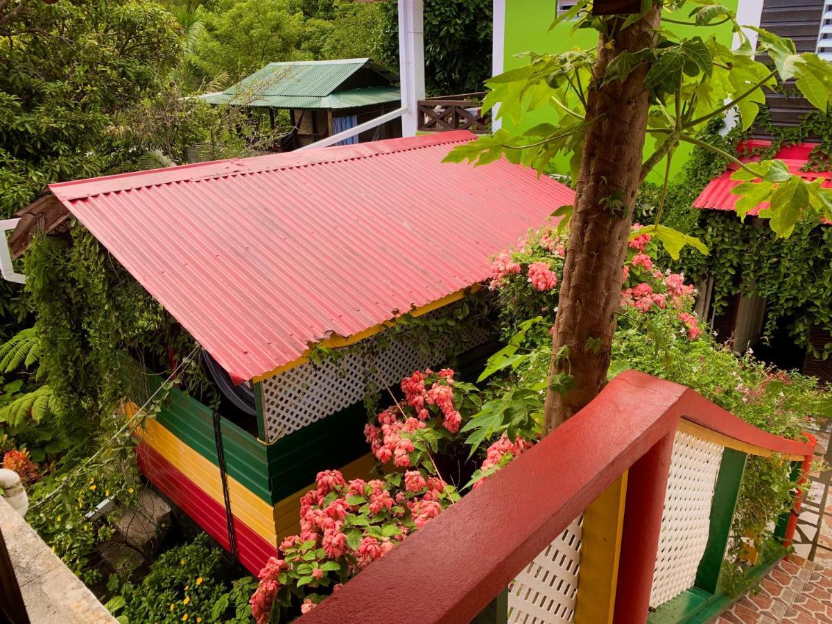 Le Petit Paradis Roseau Exteriör bild