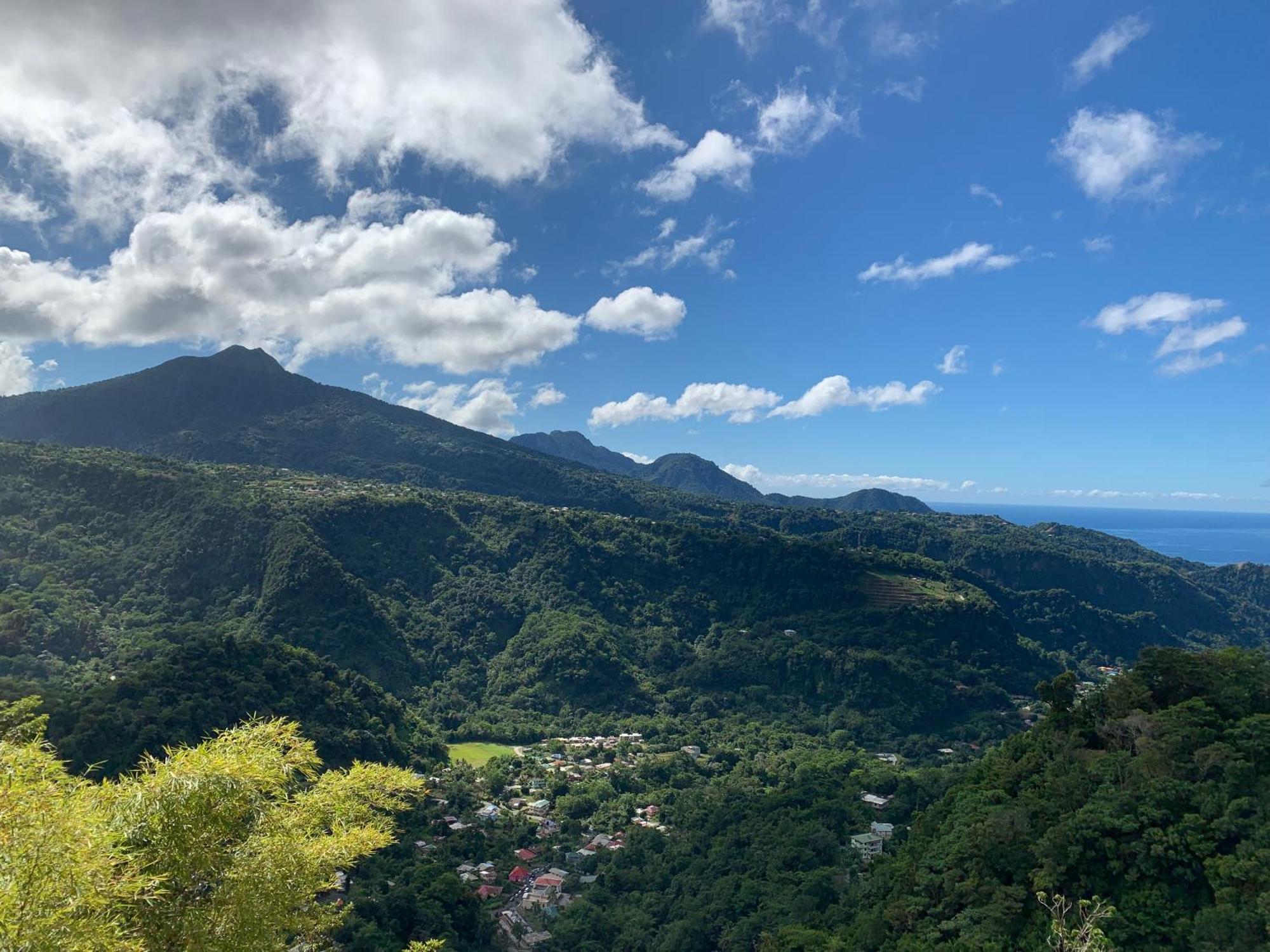 Le Petit Paradis Roseau Exteriör bild