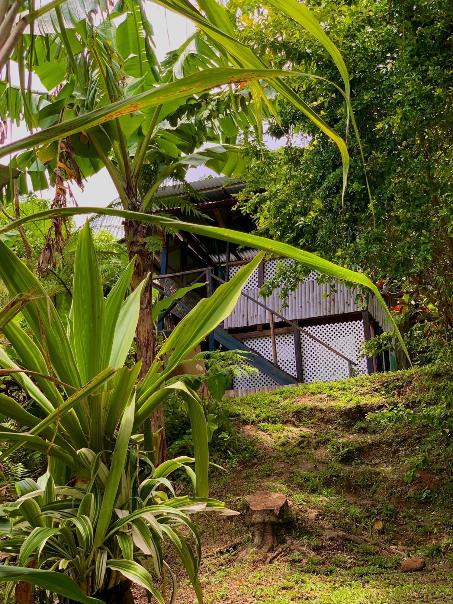 Le Petit Paradis Roseau Exteriör bild