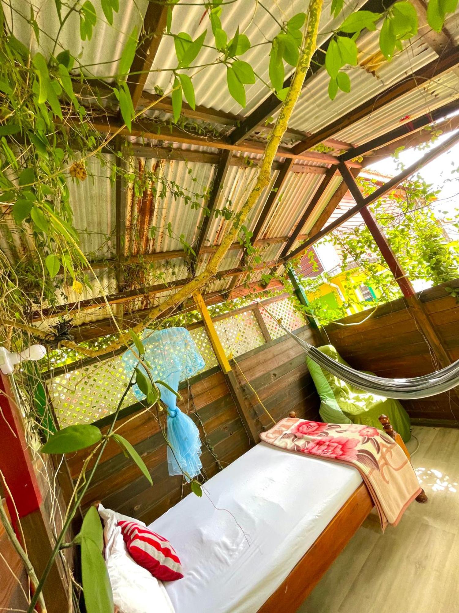 Le Petit Paradis Roseau Exteriör bild