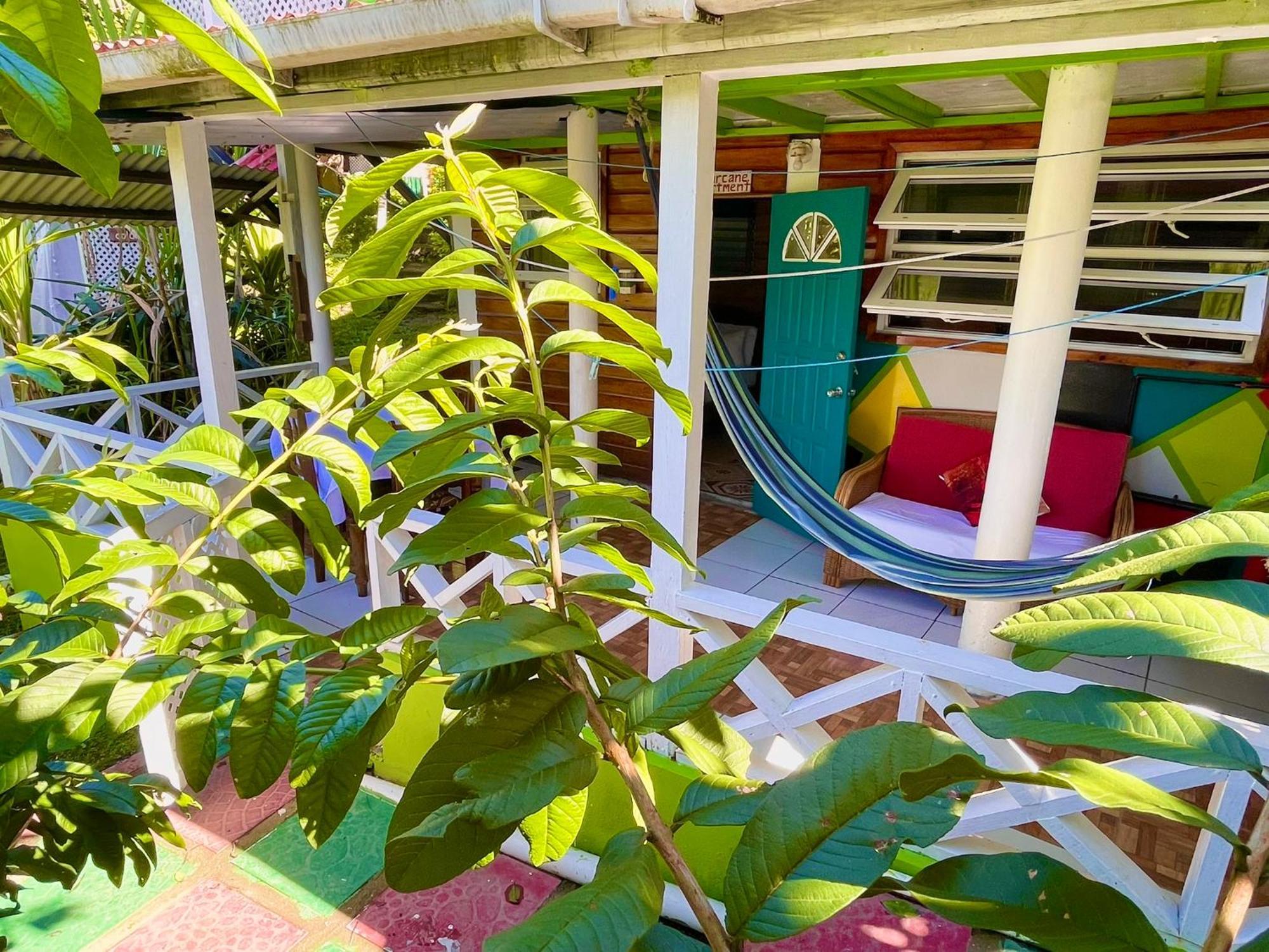 Le Petit Paradis Roseau Exteriör bild