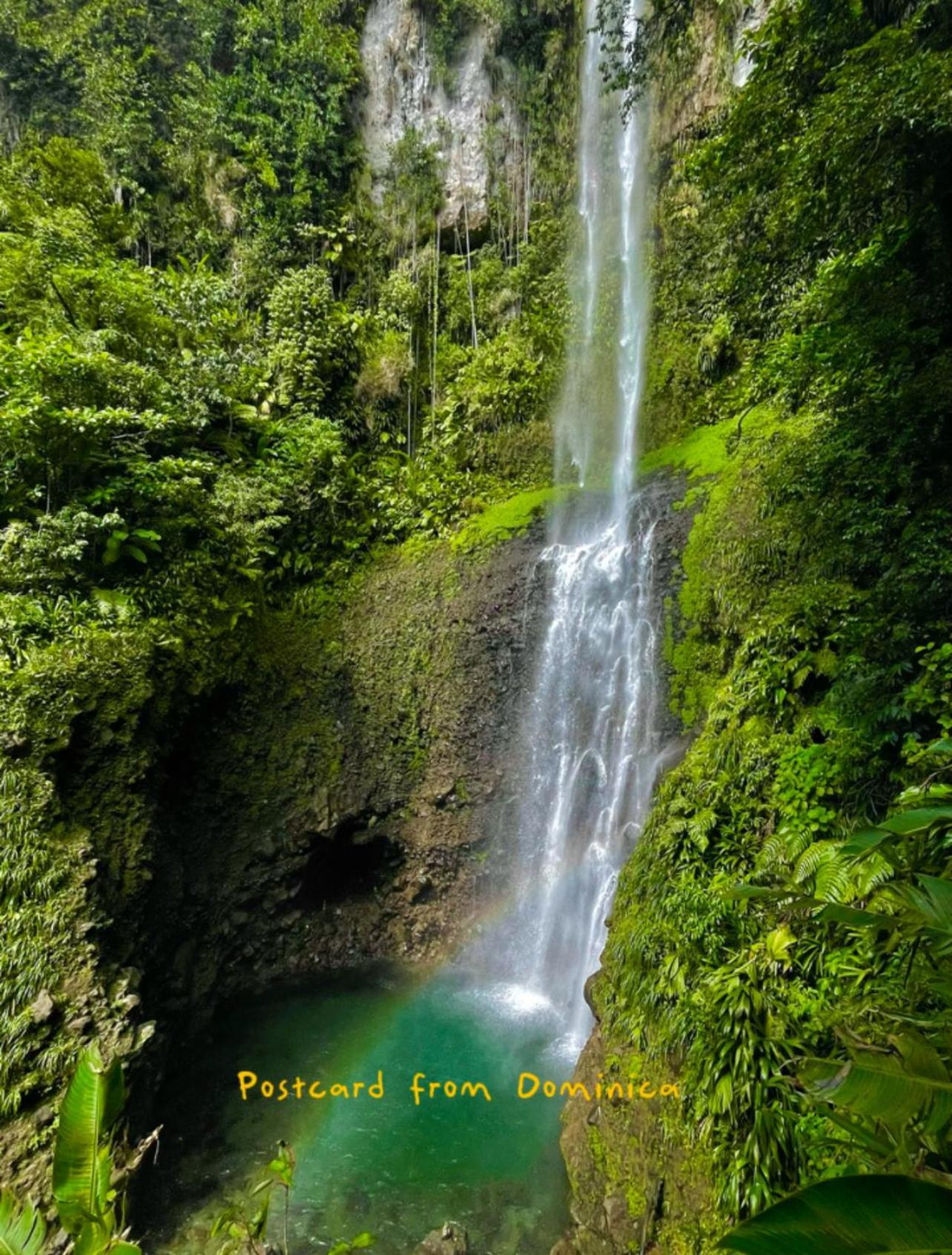 Le Petit Paradis Roseau Exteriör bild